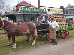 Maerkisches Feldbahnfest 2015-001