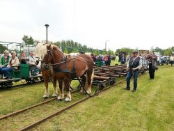 Maerkisches Feldbahnfest 2015-010