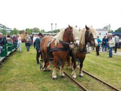 Maerkisches Feldbahnfest 2015-011