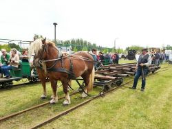 Maerkisches Feldbahnfest 2015-012