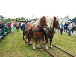 Maerkisches_Feldbahnfest_2015