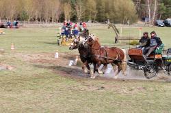 Reit-Vielseitigkeitsturnier_Loewenberg-Linde_2015