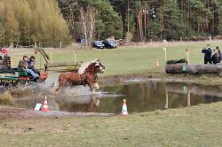 Reit-Vielseitigkeitsturnier_Loewenberg-Linde_2015