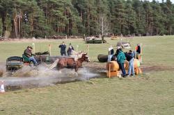 Reit-Vielseitigkeitsturnier_Loewenberg-Linde_2015